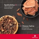 Health Concerns Marrow Plus – Bone Marrow & Blood Generation Herbal Supplement – Chinese Herbal Formula for Anemia, & Circulation Support – Astragus, Salvia, & Tangerine Extracts – 270 Capsules 4