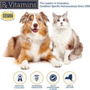 Rx Vitamins Liquid Immuno Dog and Cat Immune Support - L-Lysine for Cats - Reishi Mushroom Supplement for Dogs - Feline & Canine Immune System Support - Bacon Flavor - 4 oz 4