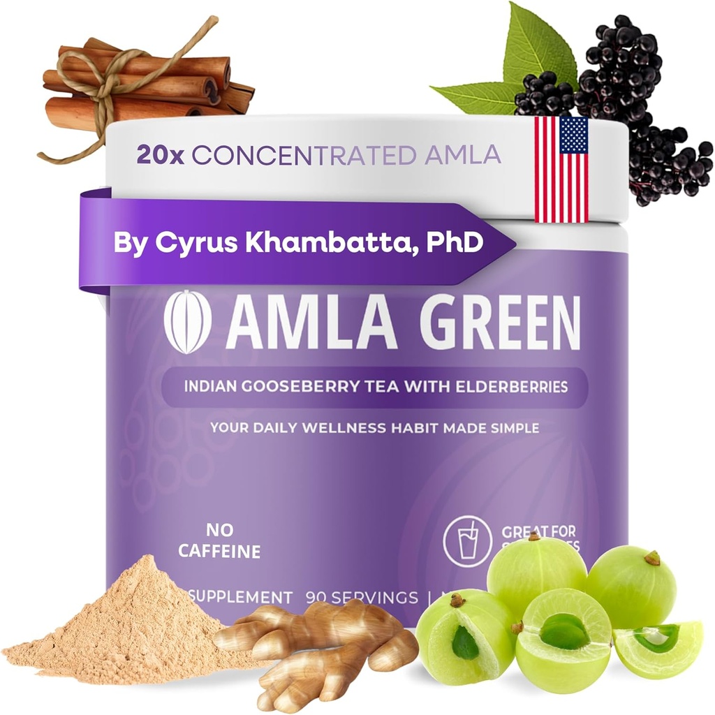 Amla Powder & Immunity Blend Superfood Supplement with Elderberry, 20x Ultra Concentrated Amla, Immune Support, Made with Ginger, Cinnamon, Peppermint, Indian Gooseberries, Immunity, 90 Servings 2