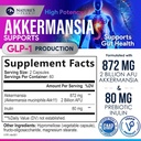 Akkermansia Probiotic Supplement - 2 Billion AFU GLP-1 Supplement with Prebiotic Fiber - Akkermansia Muciniphila GLP-1 Probiotics for Women & Men - Digestive, Gut & Immune Support - 120 Capsules 3