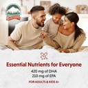 Barlean's Pink Lemonade Vegan Omega 3 Supplement, Liquid Algae Oil with 630 mg EPA & DHA, Plant Based Omegas from Algal Oil, Non-GMO & Gluten Free, 16 oz 6