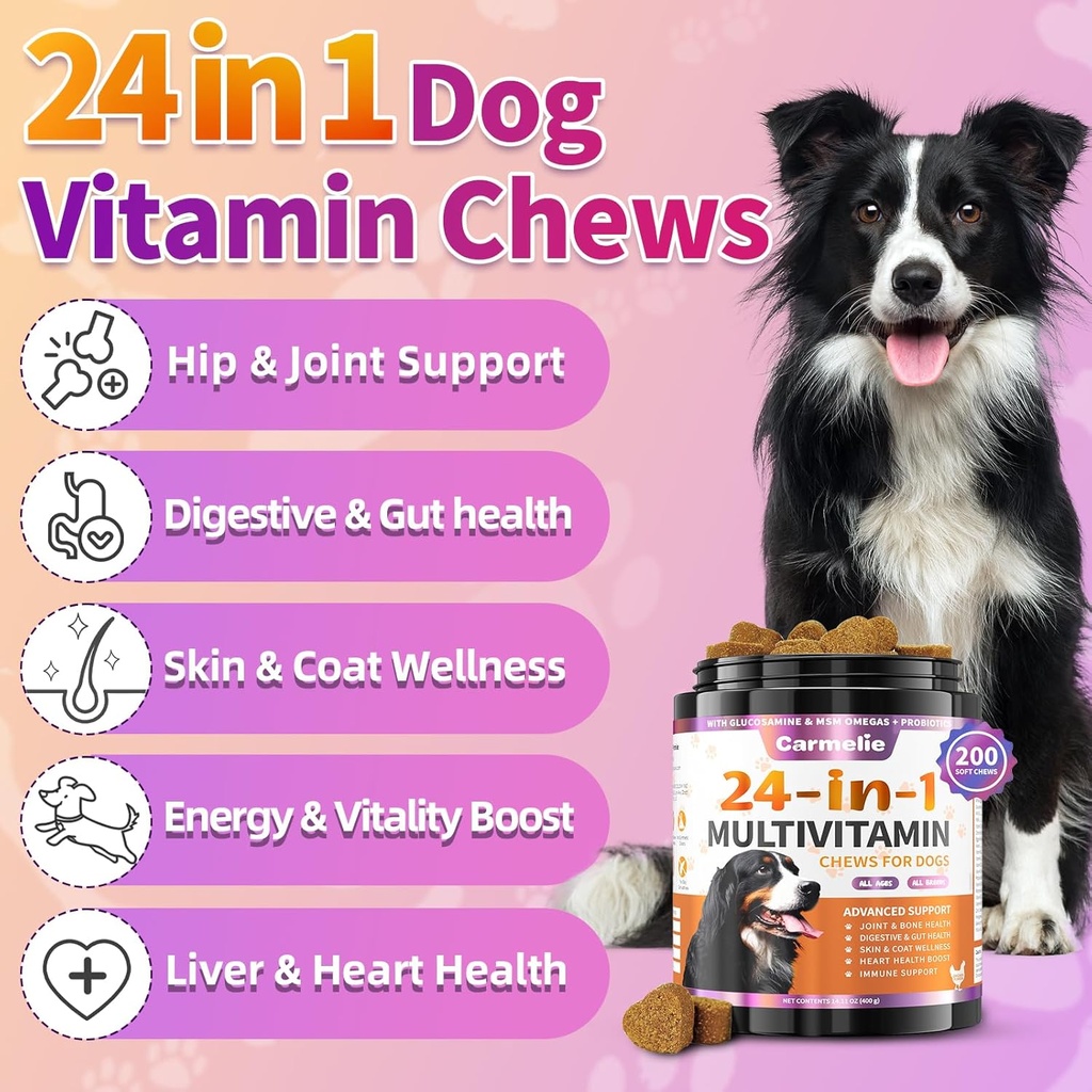 Dog Vitamins, 24 in 1 Dog Vitamins and Supplements 200 Chews with Glucosamine Probiotics Omega-3 Dog Multivitamins Chewable for Hip & Joint, Skin & Coat, Immune Health, Digestive (Chicken) 3