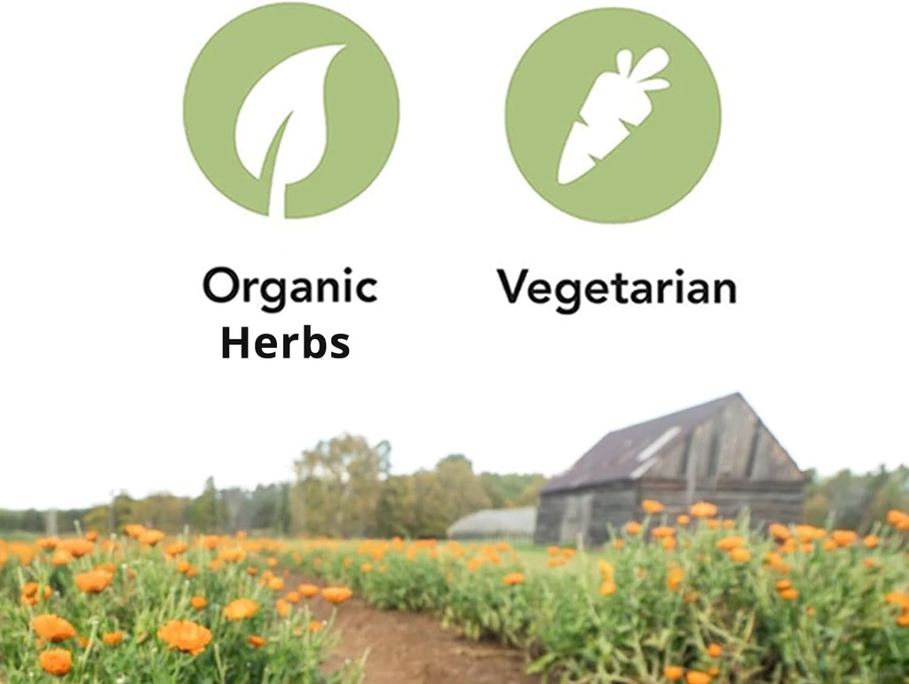 St. Francis Herbal - Deep Immune Tincture for Kids 100 ml - Natural Immune Support Booster - Vegetarian - Organic Herbs 6