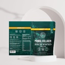 Primal Harvest Hydration Powder & Collagen Powder Supplements for Men, Bundle 5