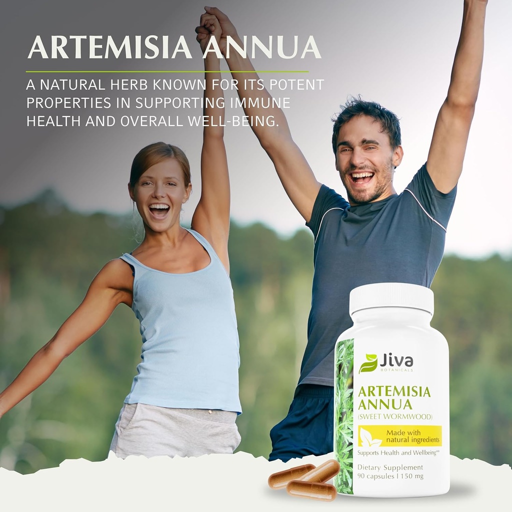 Jiva Botanicals Artemisia Annua Sweet Wormwood Capsules - Supports Immune System & Normal Liver Health - Made in The USA - 90 Capsules 6