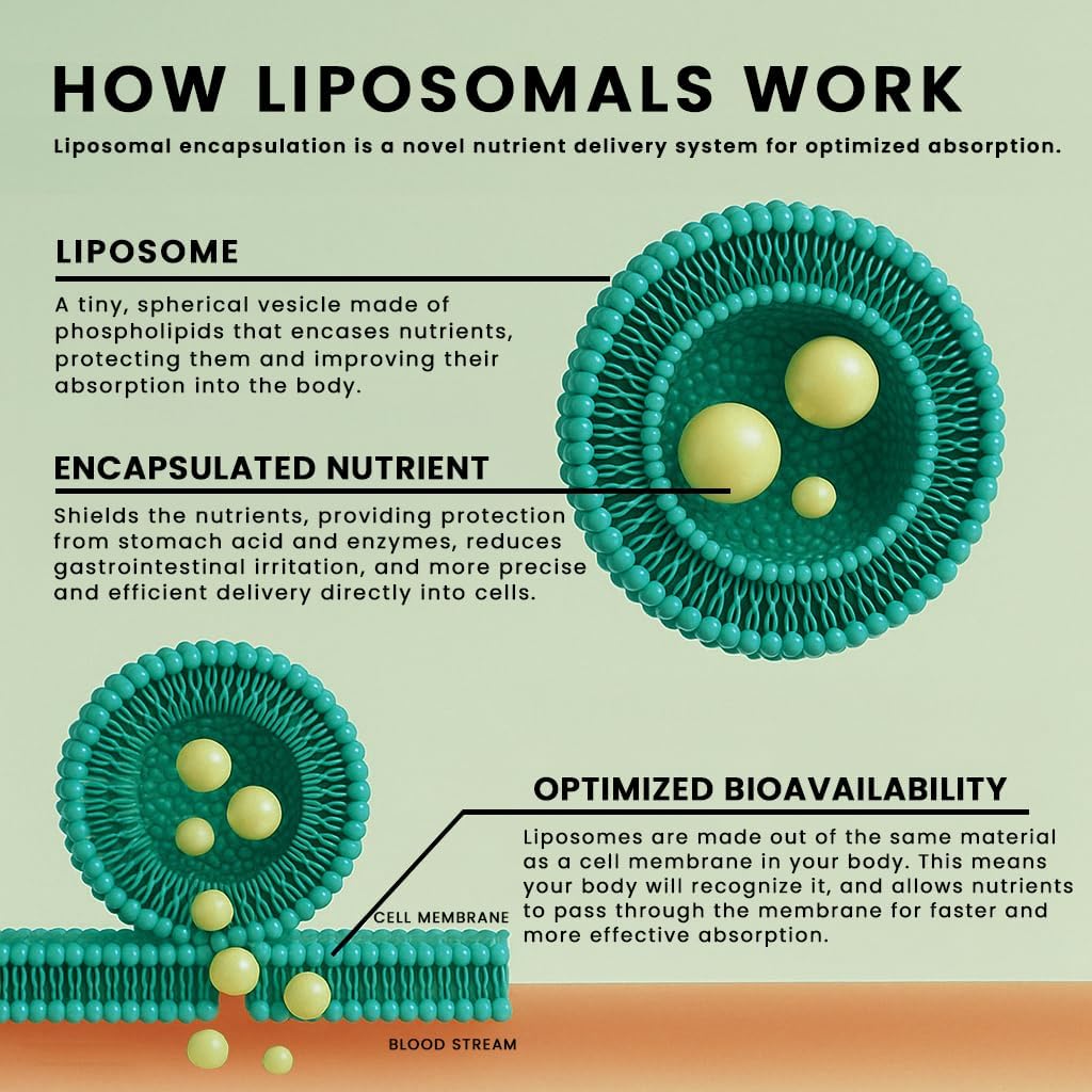 Manna Vitamins Evolved Liposomal Liquid Curcumin for Advanced Absorption Best Turmeric Supplement for Daily Joint & Immune Health Support - Vegan, Non-GMO, 95% Curcuminoids (2 Pack) 6
