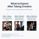 Transparent Labs Creatine HMB - Creatine Monohydrate Powder with HMB for Muscle Growth, Increased Strength, Enhanced Energy Output, and Improved Athletic Performance - 30 Servings, Tropical Punch 5