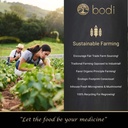 bodi : Muira Puama Powder | 4oz to 5lb | 100% Pure Natural Hand Crafted (5 lb) 5