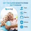 Liposomal Nattokinase 12,000 FU Serrapeptase 360,000 SPU Enzyme Supplement - Enriched with Synergistic Enzymes and Nutrient Blend & Inulin for Circulatory, Gut, Digestion 60 Capsules (2 Bottle) 6