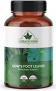 Pata de Vaca - Cow's Foot Leaves - 100 Veggie Capsules - 1,500mg Herbal Supplement Cows Foot 2