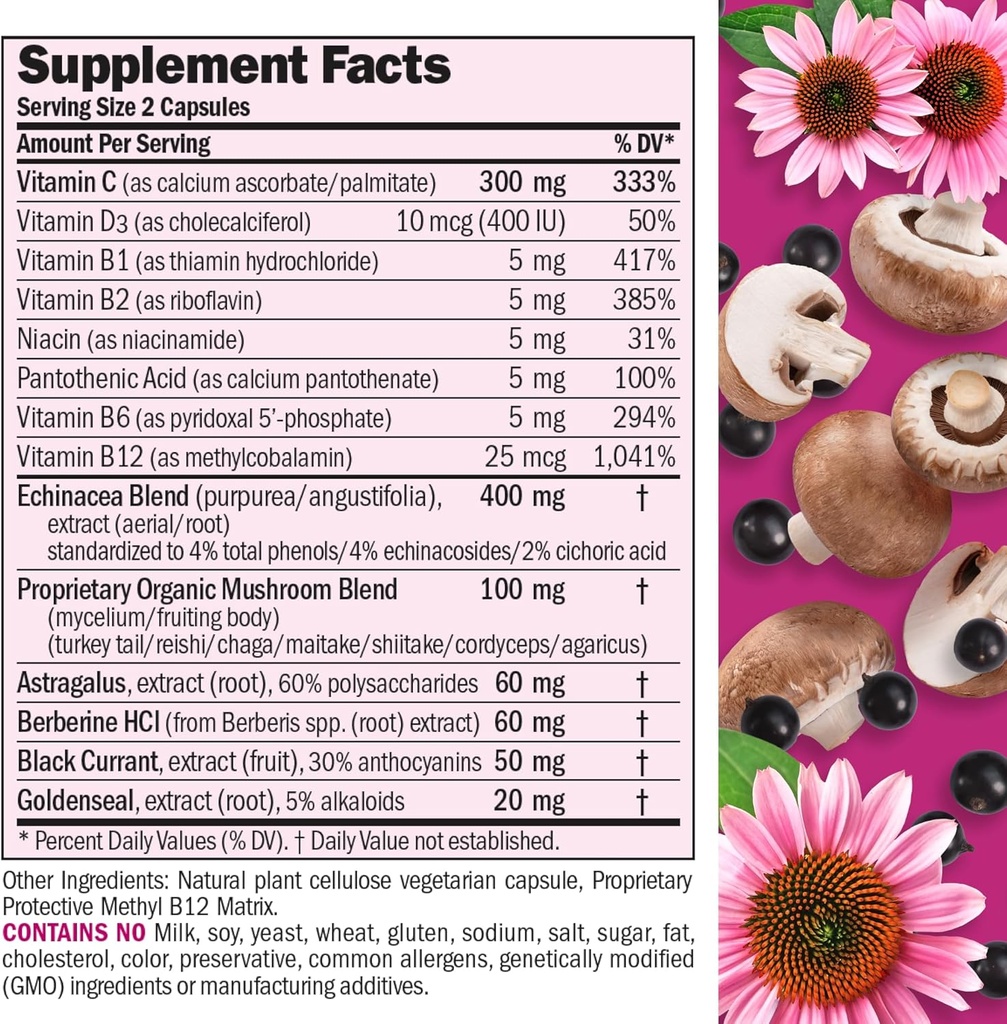 ANDREW LESSMAN Immune Factors 180 Capsules – Echinacea, Goldenseal, Vitamin C, Astragalus, Berberine, Mushroom Blend, Black Currant. Supports and Promotes Immune System and Natural Defenses 3