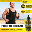 HERBIFY Bundle - Mullein Leaf Extract & Vitamin D3 - Respiratory Support & Immune Boost 3