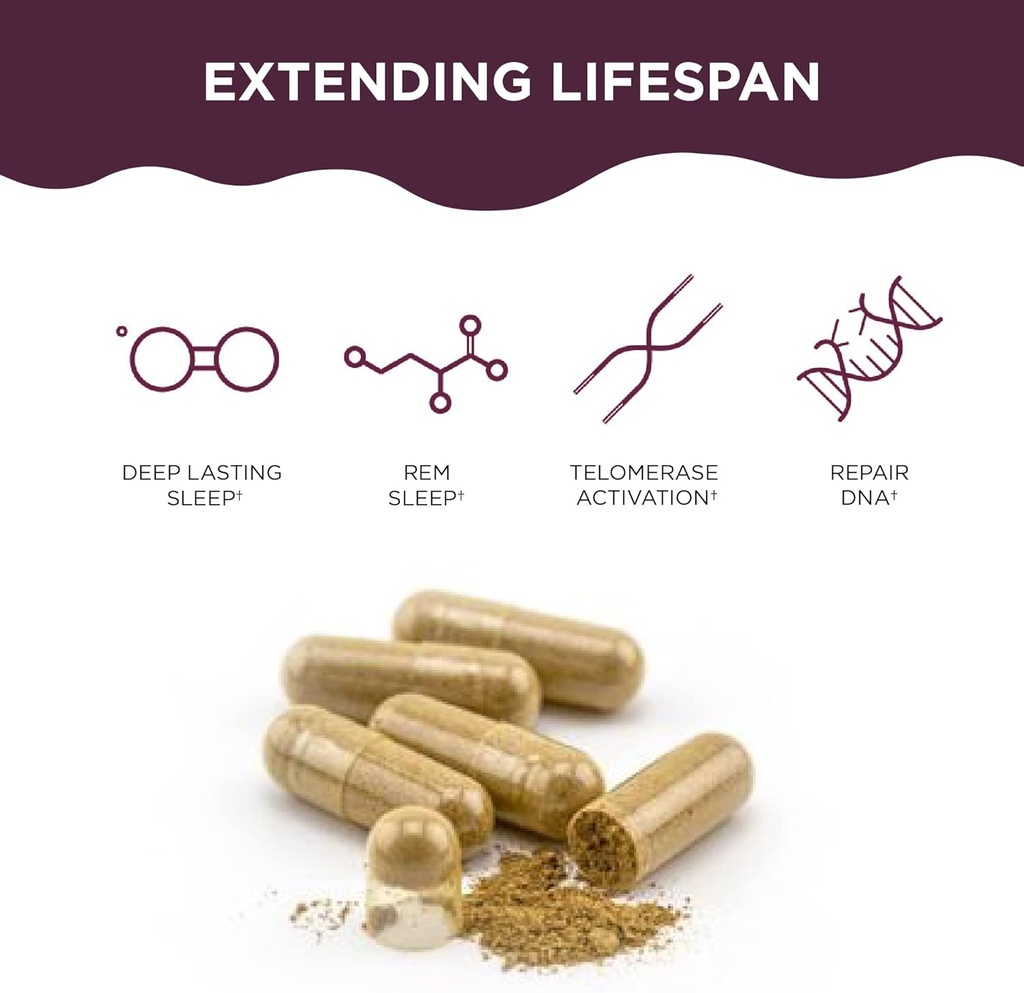 Healthycell Telomere Length Healthy Aging Supplement + Focus & Recall Brain Supplement for Memory & Focus Bundle 5