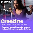 Gnarly Nutrition Creatine Powder – Creapure, Vegan Creatine Supplement – NSF Sport Certified, Optimized Recovery – Sports Nutrition – 5g Creatine Monohydrate – Unflavored, 15.87 oz 5