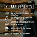 BARE PERFORMANCE NUTRITION BPN Creatine Monohydrate & Strong Greens Bundle 6