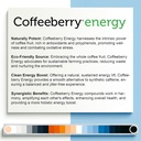 Addy Energy - Focus & Energy Supplement - Brain Booster - Adderall Alternative - Focus, Increase Productivity - Clean Energy - Sharp Focus - 30 Day Supply 5