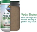 Garden of Life Raw Organic Perfect Food Green Superfood Juiced Greens Powder - Chocolate, 60 Servings, Non-GMO, Gluten Free, Vegan Whole Food Dietary Supplement Plus Probiotics, Enzymes 6
