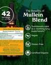 Herb Pharm Certified Organic Mullein Blend Liquid Extract for Respiratory System Support - 1 Ounce 3