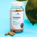 Nature Restore Coriolus Versicolor Mushroom Extract Supplement, 30 Percent Polysaccharides, Non GMO, Gluten Free, 90 Capsules, Original Turkey Tail Mushroom Supplement 5