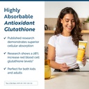 Researched Nutritionals Liposomal Glutathione (450mg) Liquid Gel + Vitamin C - Tri-Fortify - Aid Natural Energy, Immune Support & Detox - Clinically Researched for Absorption - Watermelon (5 Fl Oz) 3
