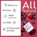 ORGANICS NATURE Irish Sea Moss Gummies for Lung Detox, Thyroid, Strength Immune & Energy Support, Vegan Seamoss Gummies for Kids & Adults - 60 Vegan Gummy Bears Berry Flavored 5