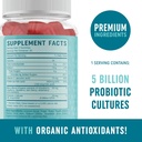 Probiotic & Prebiotic Capsules and Probiotic Gummies | Complete Gut Health, Digestion, and Immune Support Bundle | Gummies with 20 Billion CFU, Vitamin C, and Folic Acid 4