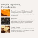 Stonehenge Health Dynamic Turmeric, Dynamic Biotics Probiotic: Joints and Digestion Support Bundle 4