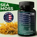 Sea Moss Black Seed Oil Ashwagandha Ginger - Advanced Irish Sea Moss Capsules All in One Supplement with Seamoss Black Seed Oil Ashwagandha Burdock Root Bladderwrack - Pills for Energy, Immune, Gut 4