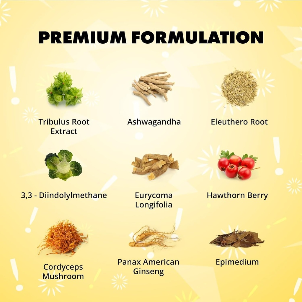 Sculpt Nation by V Shred Test Boost Max and BCAA Fruit Punch Powder Bundle 4