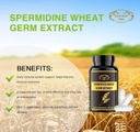 1000MG Spermidine Supplements Fermented Wheat Germ Extract Capsule with 10MG Higher Spermidine & Zinc for Antioxidant, Cell Renewal, Immune System and Increases Energy 60 Capsules (1 Bottle) 4