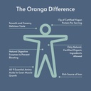 Organic Plant-Based - Rice, Pea, Pumpkin Seed Protein Powder - Chocolate - with Digestive Enzymes, No Additives, Dairy-Free, Soy-Free, Keto-Friendly, Gluten-Free, Non-GMO - 17 Servings (442g) 6