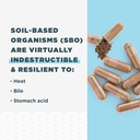 Ancient Nutrition Probiotics for Women, SBO Probiotics Women's 60ct, Digestive and Immune Support, Bloating Relief for Women, Gluten Free, Superfoods Blend, 25 Billion CFUs* 5