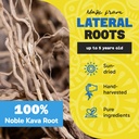 Fiji Vanua Kava Premium Loloma Waka Kava Root Powder, Made From Noble Root Powder With Sun-dried Lateral Roots, Medium Grind for Easy Prep, Kava for Smooth & Delicious Taste, 1 lb 4