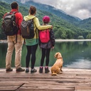 Konsyl Original Formula Daily Fiber, 100% All Natural Psyllium Husk Powder - Stickpacks 30ct 6