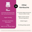 EZ Melts Dissolvable Sugar-Free Kombucha Tablets with SCOBY & Apple Cider Vinegar, Gut Health Supplements for Men & Women, Apple Berry Flavor, 2-Month Supply - 1 Pack 6
