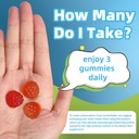 AFXMATE Fiber Supplement Gummies for Adult, 7 g Fiber Sugar Free Vegan & Gluten Free - Digestive Health, Regularity Support 120 Count 6