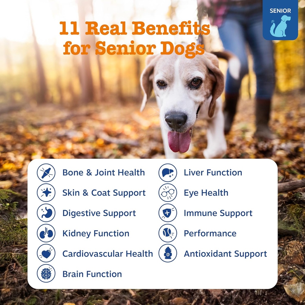 Zesty Paws Senior Dog Multivitamin Treats - Glucosamine for Dogs + Digestive Enzymes & Probiotics - Grain Free Dog Vitamins and Supplements for Skin & Coat + Immune Health Chicken - Advanced - 60ct 3