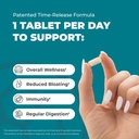 Balance ONE Probiotic & CandAssist Bundle | 15 Billion Time-Release Probiotic | Natural Cleanse with Caprylic Acid, Berberine 6