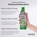 Aurora Nutrascience Mega-Liposomal R-ALA Cellular Support Complex, 200mg R-Alpha Lipoic Acid, Gluten Free, Non-GMO, Sugar Free, Organic, Fruit Flavor, 32 Servings, 16 fl oz 6