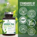 Green Tea Extract Capsules 1000mg 98% Standardized EGCG - 3X Strength for Natural Energy - Heart Support with Polyphenols - Gentle Caffeine - 120 Capsules 5