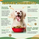 NATURE TARGET Multivitamin for Dogs - with MSM & Glucosamine, Omegas 3 & 6, Probiotics for Digestive Health, Joint Support, Skin & Coat, Immune System & Overall Health 120 Soft Chews 5