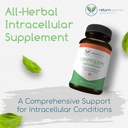 Cryptolepis Concentrate, Immune Support with Cryptolepis Sanguinolenta for Immunity Boost, Concentrated Herbal Supplements, Antioxidant & Health Supplement, 120 Capsules 3