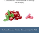 Eclectic Herb - Premium Freeze Dried Cranberry Capsules | Urinary Tract Support | Cranberry Supplement for Urinary Tract Health | Organic, Non-GMO, Vegan (120 CT | 300 mg) 6