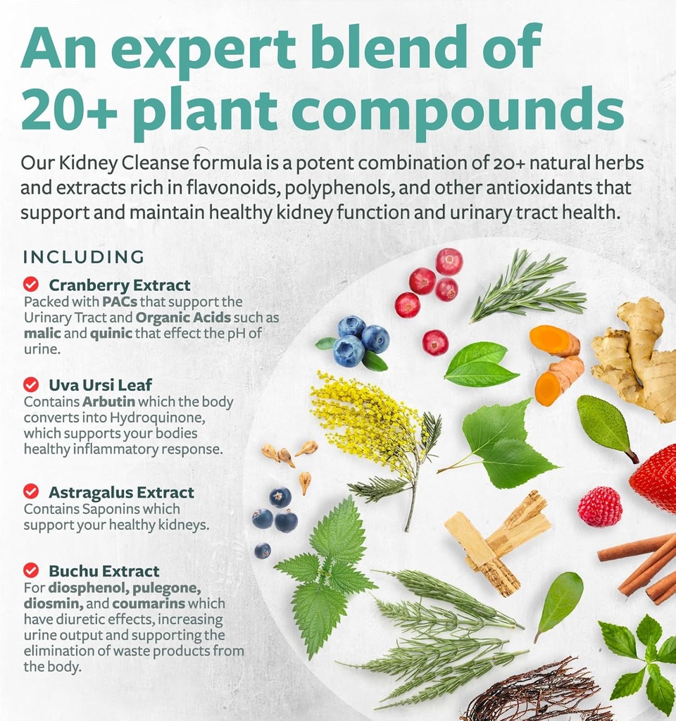 Chanca Piedra Kidney Cleanse Detox & Repair - Herbal Liver & Kidney Support Supplement with Cranberry Astragalus & More for Cleansing Protective Support - Vegan Non-GMO & Lab Verified (4 Month Supply) 4