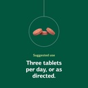 Standard Process Catalyn Chewable - Whole Food-Based Support for Cell Functioning - Includes Vitamins A, D, B6 - Aids Antioxidant Activity - Non-Dairy & Non-Soy - 90 Tablets 6