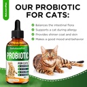 Probiotics for Cats for Digestive Support – Cat Probiotics for Indoor Cats Help with Colic, Upset Stomachs, Diarrhea, Gas, and Bloating – Prebiotics + Pleasant Chicken Flavor Inside – 2 Oz 3