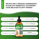 Probiotics for Cats for Digestive Support – Cat Probiotics for Indoor Cats Help with Colic, Upset Stomachs, Diarrhea, Gas, and Bloating – Prebiotics + Pleasant Chicken Flavor Inside – 2 Oz 4