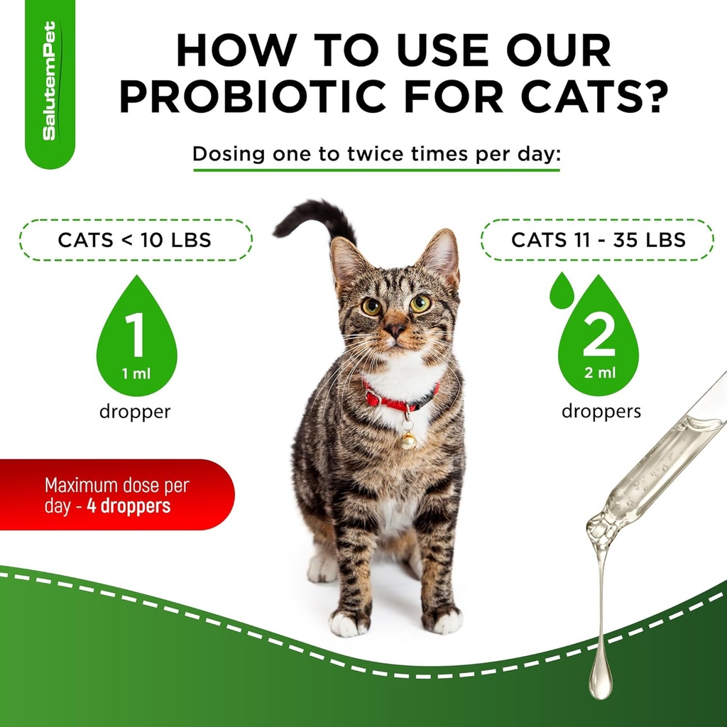Probiotics for Cats for Digestive Support – Cat Probiotics for Indoor Cats Help with Colic, Upset Stomachs, Diarrhea, Gas, and Bloating – Prebiotics + Pleasant Chicken Flavor Inside – 2 Oz 6