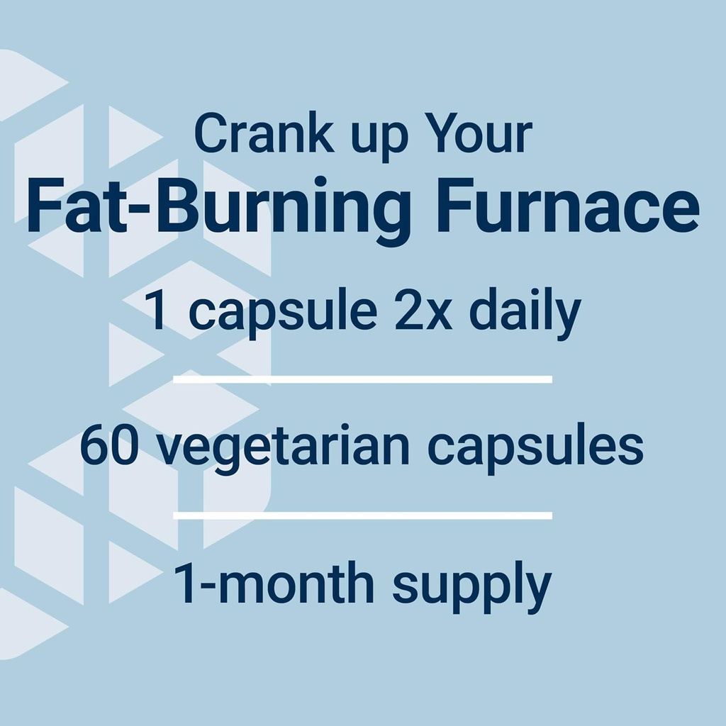 Life Extension 7-Keto DHEA Metabolite – Crank Up Your Fat-Burning Furnace – Non-GMO – Gluten-Free – 100 Mg – 60 Vegetarian Capsules 6