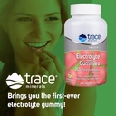 Trace Minerals Electrolyte Stamina Gummies - Convenient Electrolyte Supplement That Supports Hydration - Supports Optimal Energy - Muscle Stamina - Vegan - Watermelon - 90 Count (30 Servings) 6